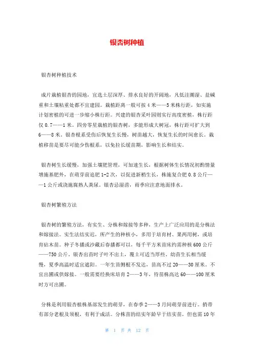 银杏树种植