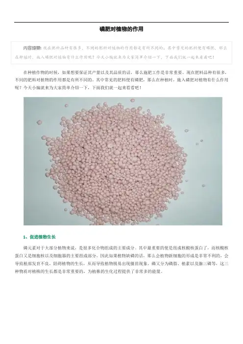 磷肥对植物的作用