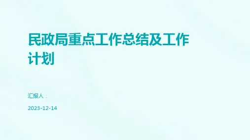 民政局重点工作总结及工作计划