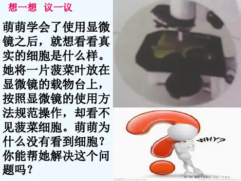七年级生物上册2.1.2《观察植物细胞》课件人教新课标版