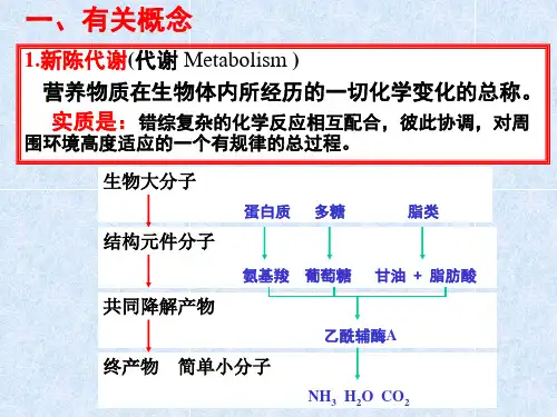 第19章代谢总论