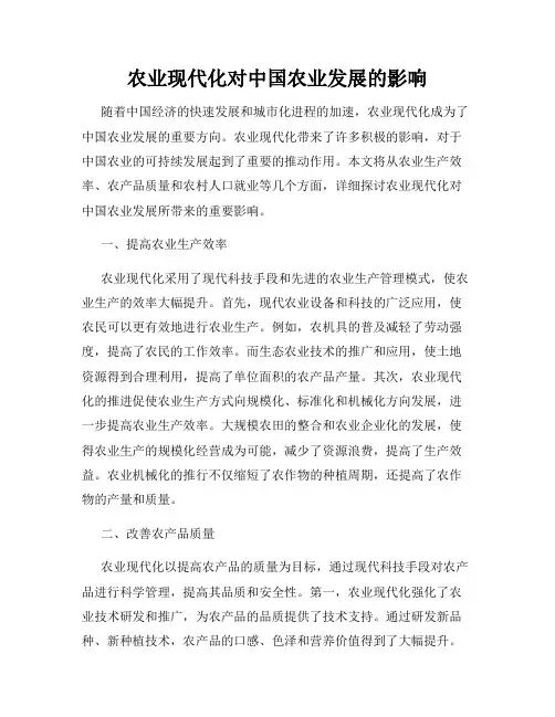 农业现代化对中国农业发展的影响