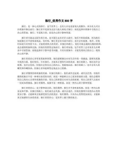 独行_优秀作文800字