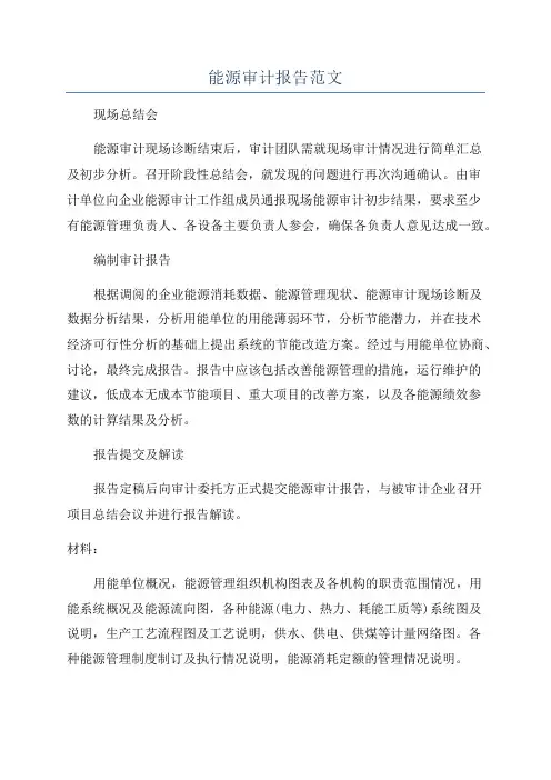 能源审计报告范文