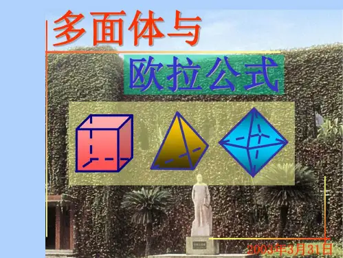多面体与欧拉公式-欧拉公式多面体