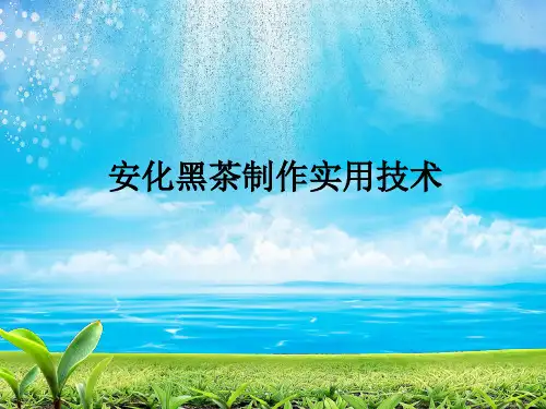 安化黑茶制作使用技术