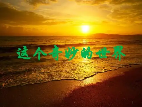 这个奇妙的世界ppt课件