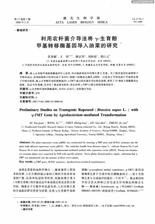 利用农杆菌介导法将γ-生育酚甲基转移酶基因导入油菜的研究