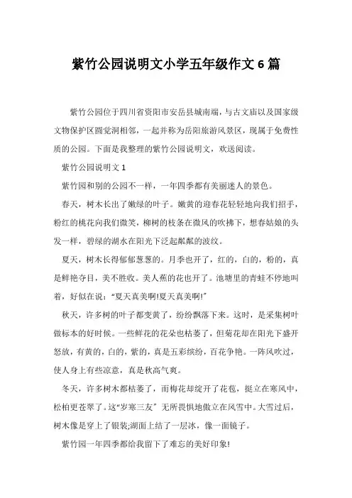 (说明文)紫竹公园说明文小学五年级作文6篇