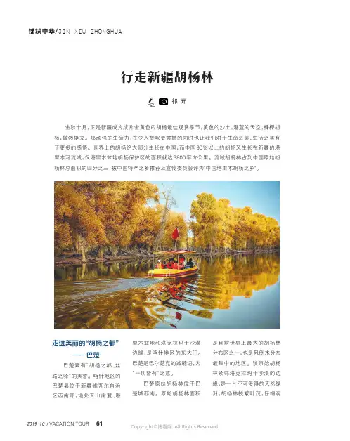 行走新疆胡杨林