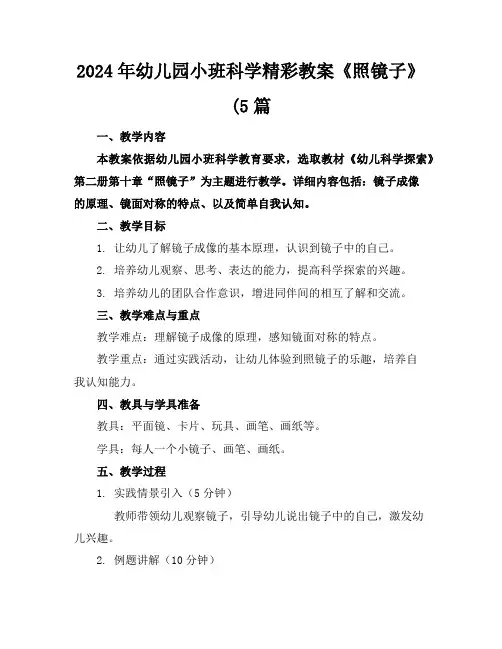 2024年幼儿园小班科学精彩教案《照镜子》(5篇