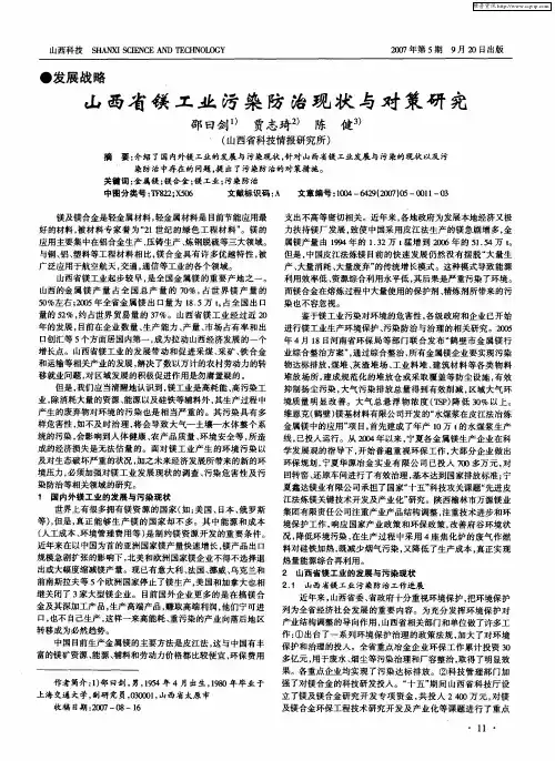 山西省镁工业污染防治现状与对策研究