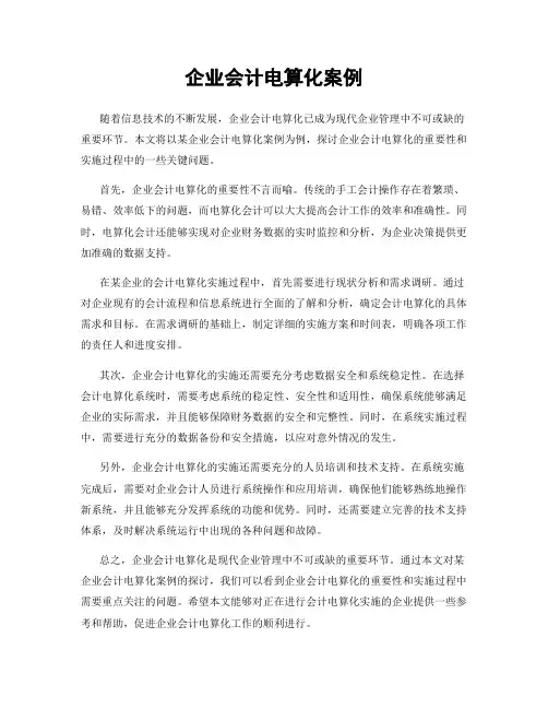 企业会计电算化案例