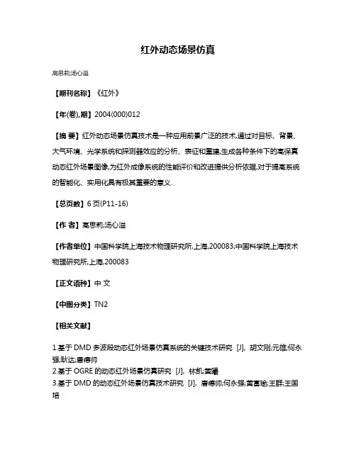 红外动态场景仿真