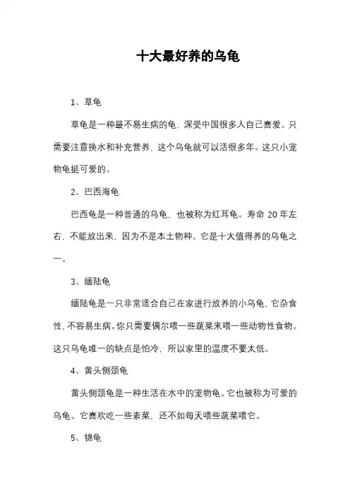 十大最好养的乌龟
