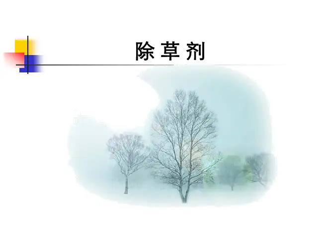 第三课除草剂ppt