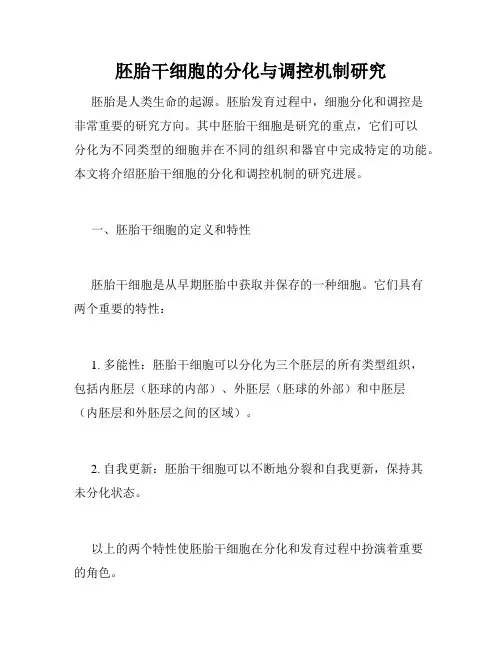 胚胎干细胞的分化与调控机制研究