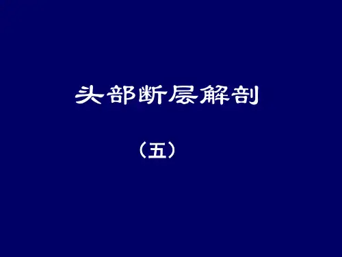 最新头部断层解剖学-人体断层解剖学-课件-07_PPT课件-药学医学精品资料