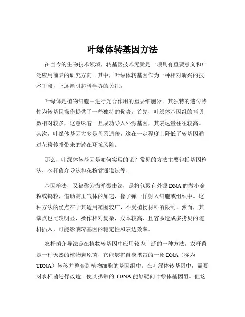 叶绿体转基因方法