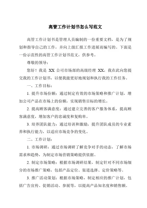 高管工作计划书怎么写范文