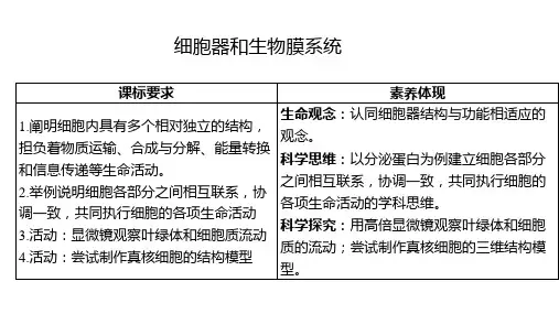 高三生物一轮复习课件第六讲细胞器之间的分工合作