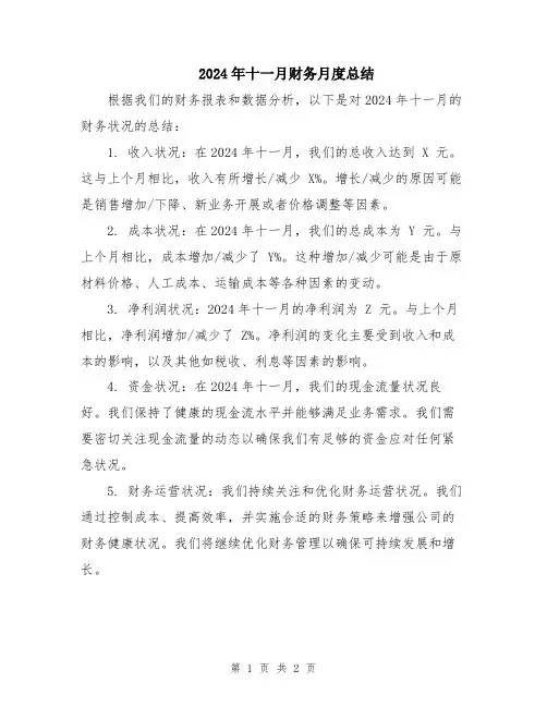 2024年十一月财务月度总结