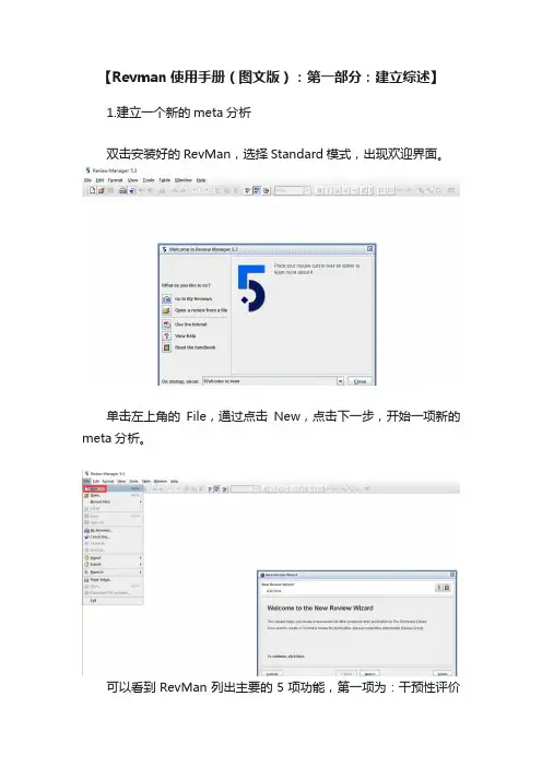 【Revman使用手册（图文版）：第一部分：建立综述】