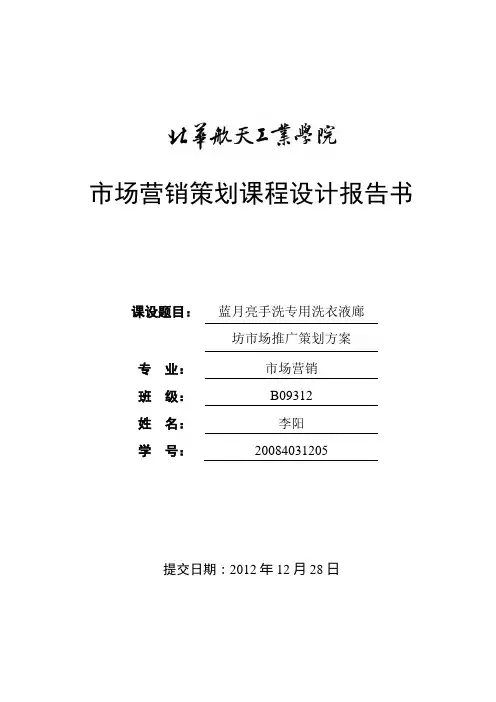 蓝月亮营销策划
