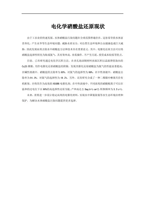 电化学硝酸盐还原现状