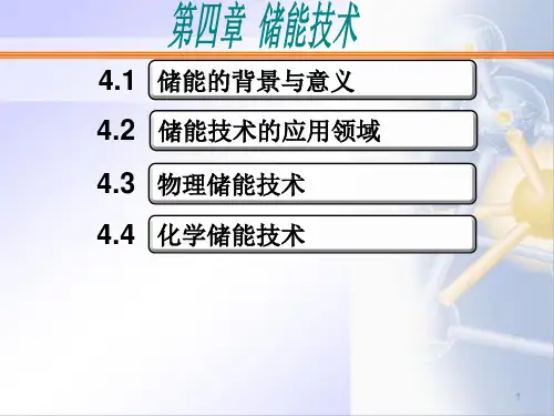 储能技术 ppt课件