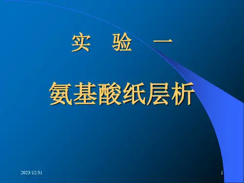 氨基酸纸层析ppt课件