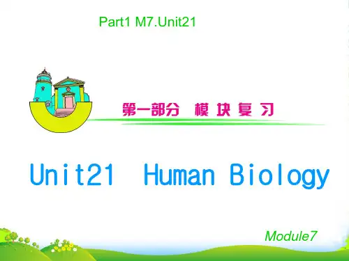 高三英语一轮复习 M7_Unit 21　Human Biology（2）课件（安徽用）