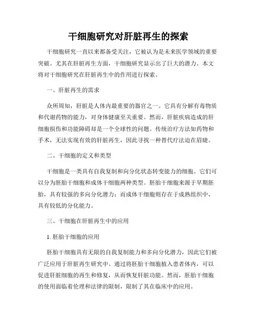 干细胞研究对肝脏再生的探索
