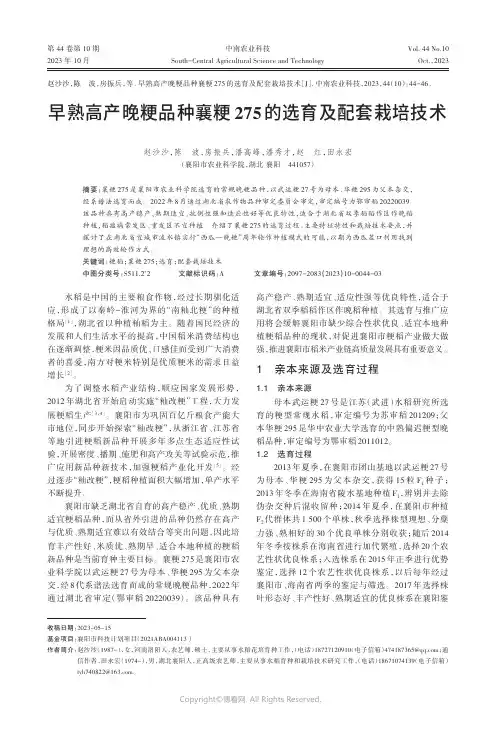 早熟高产晚粳品种襄粳275的选育及配套栽培技术