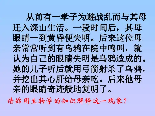 苏教版七年级下册生物人体的消化与吸收课件(3)