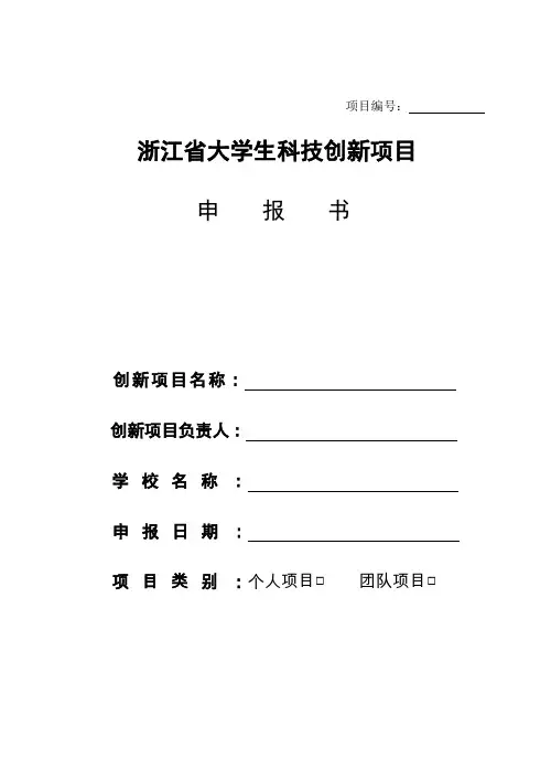 创新项目申报书