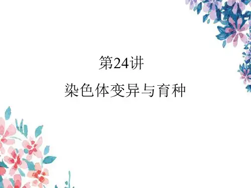 高考生物一轮复习6：染色体变异与育种优质课件