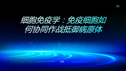 细胞免疫学：免疫细胞如何协同作战抵御病原体