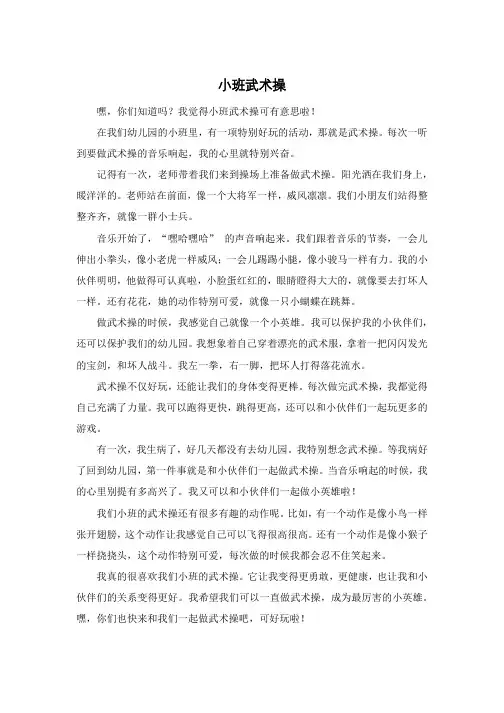 小班武术操