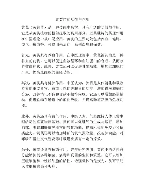 黄黄苗的功效与作用