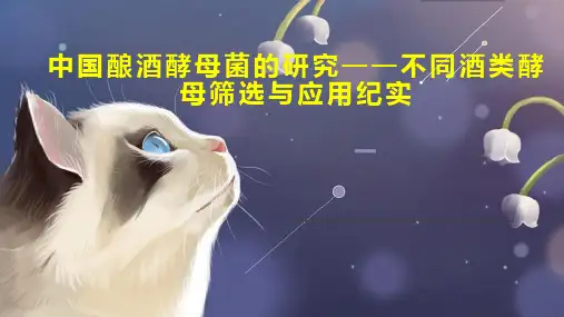 中国酿酒酵母菌的研究不同酒类酵母筛选与应用纪实