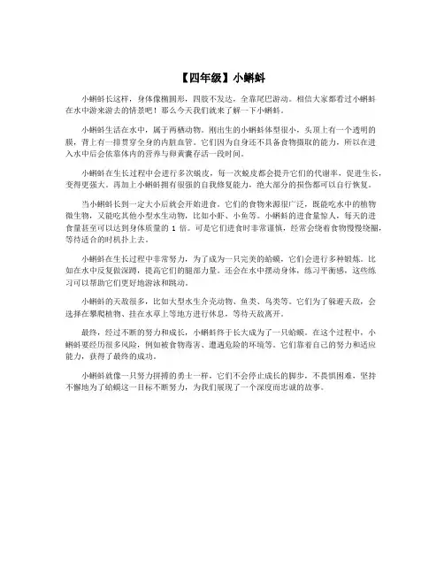 【四年级】小蝌蚪