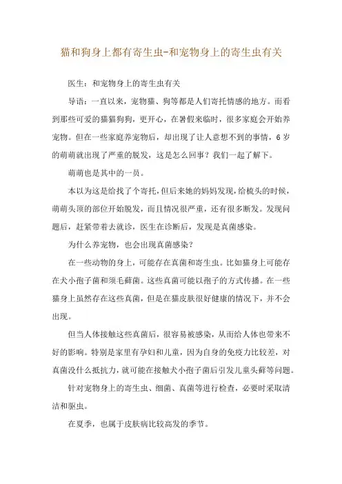 猫和狗身上都有寄生虫-和宠物身上的寄生虫有关