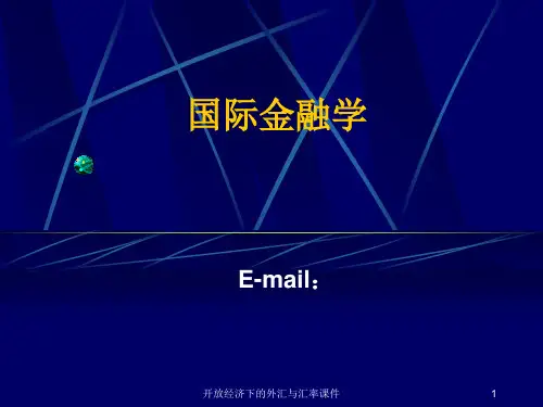 开放经济下的外汇与汇率课件