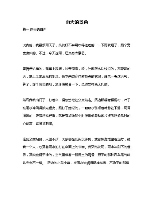 作文《雨天的景色》