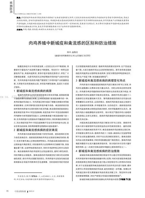 肉鸡养殖中新城疫和禽流感的区别和防治措施