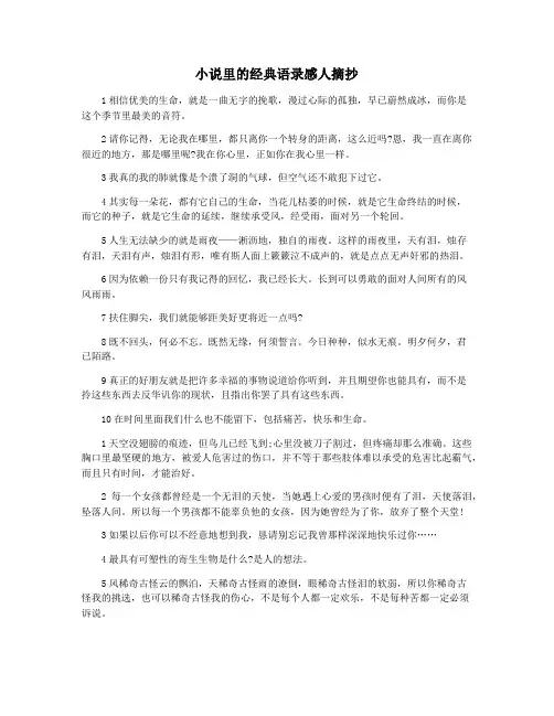 小说里的经典语录感人摘抄