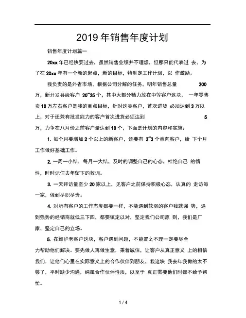 2019年销售年度计划