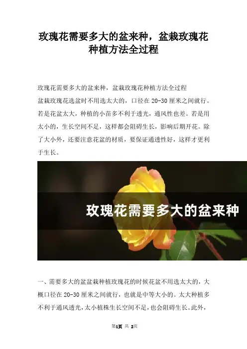 玫瑰花需要多大的盆来种，盆栽玫瑰花种植方法全过程