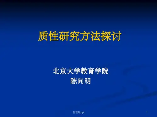 质性研究(陈向明)